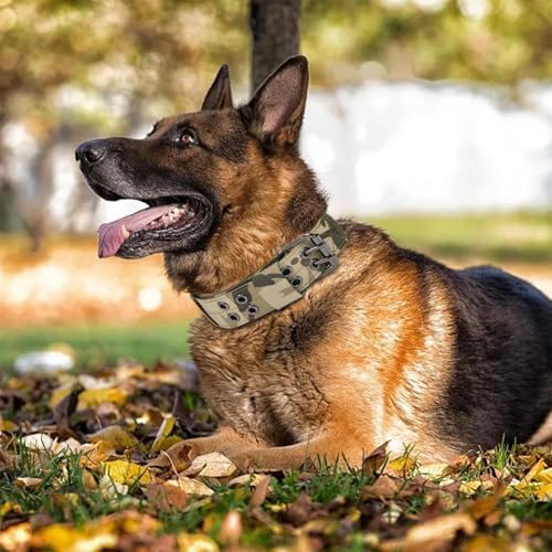 Tactical Dog Collar with Name Patches, Desert Camo: L