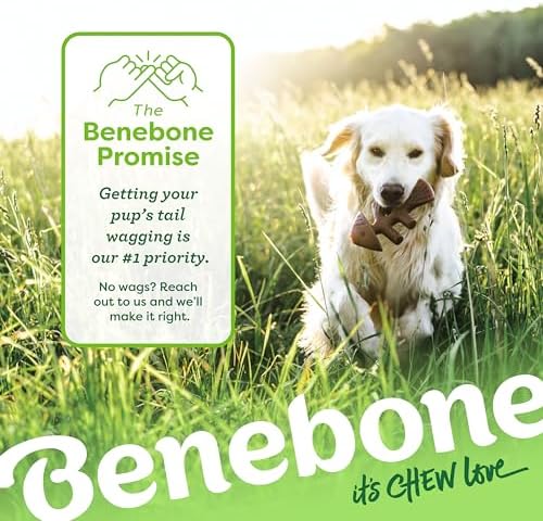 Benebone Tiny 2-Pack Fishbone Durable Dog Chew Toys, Real Fish