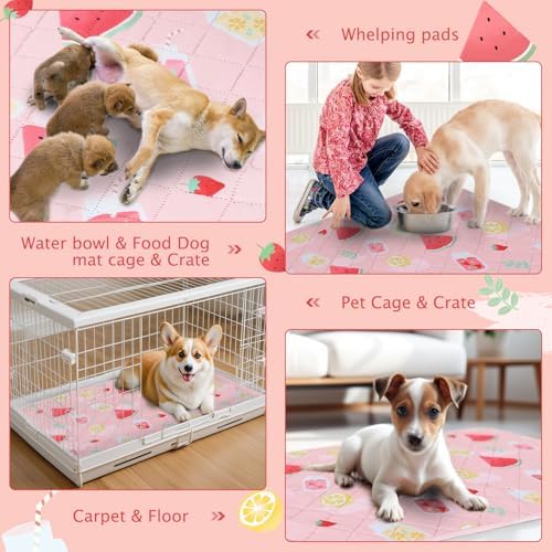 BVAGSS Washable Pee Pads for Dogs, Reusable Leakproof Puppy Wee Pad, 63x63 Inch (Watermelon, Pack of 1)