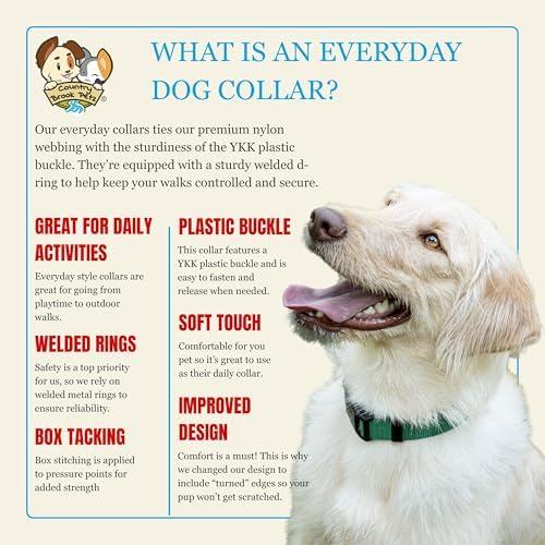 Country Brook Petz - Everyday Nylon Dog Collar for Large, Medium, and Small Dogs and Puppies - for Everyday Use in 30+ Colors (Medium, 3/4 Inch Wide, Christmas Green)