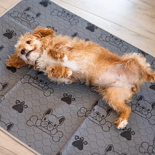 Washable Pee Pads for Dogs (2-Pack) Large 28 in x 35 in, Reusable Quilted Pet Training, Dark Gray Floor Mat Absorbent Whelping Potty and Crate Liner (DK Gray)