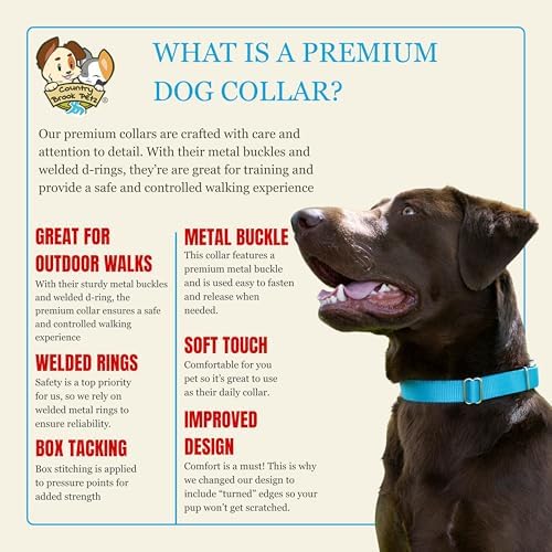 Country Brook Petz - Premium Nylon Dog Collar with Metal Buckle for Small Medium Large Breeds - 30+ Colors (Medium, 3/4 Inch, Ice Blue)