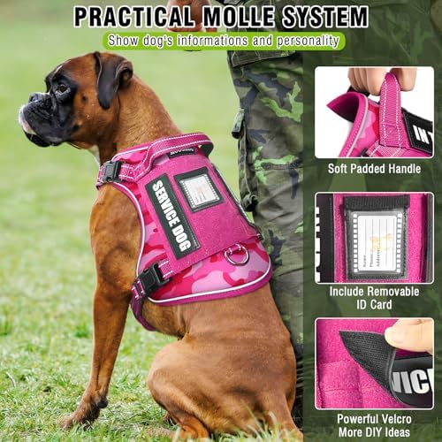Tactical Dog Harness and Leash Set with 10 Patches for Large Dogs