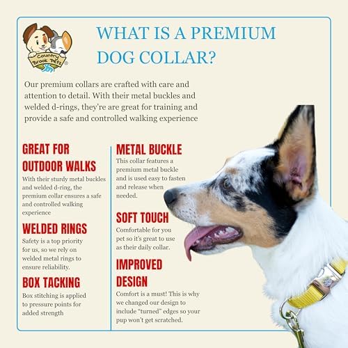 Country Brook Petz - Premium Nylon Dog Collar with Metal Buckle for Small Medium Large Breeds - 30+ Colors (Medium, 3/4 Inch, Gold)