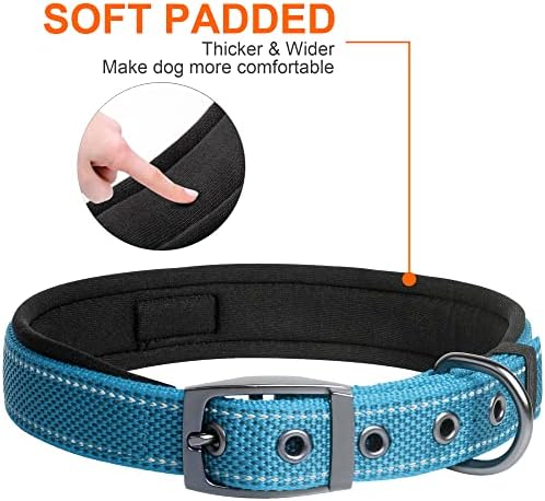 Fida Heavy Duty Dog Collar for Large Dogs with Metal Belt Buckle, Blue