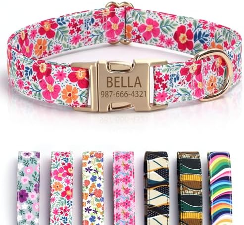 Personalized Dog Collar Custom Engraved Pet Name & Phone Number