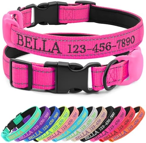 Personalized Nylon Dog Collar with Embroidered Name, Rose