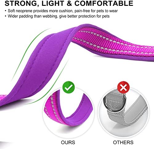 azuza Reflective Dog Collar, Neoprene Padded Puppy Collar, Purple, XS