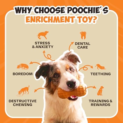 Poochie Butter Natural Peanut Butter Dog Treat Toy - Fillable Chew for Dogs