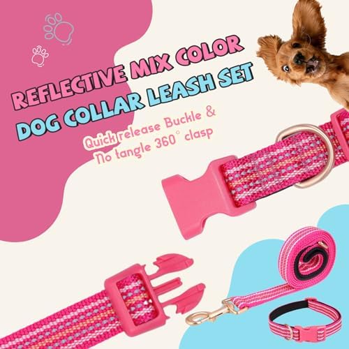Reflective Dog Collar and Leash Set, Nylon Dog Leash with Heavy-Duty Steel D-Ring, Adjustable with Quick Release Buckle for Small Dogs,Hot Pink S