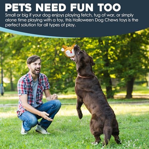 Flourish Pets 2 in 1 Christmas Multi-Layer Chew Toy for Active Dogs | Non-Toxic BPA Free Double Stitched Soft Fabric and Long-Lasting Dog Plush Toys - Christmas 3.5" (Pack of 3)