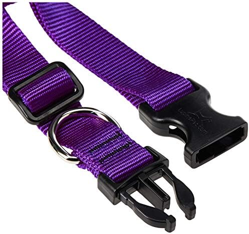 LupinePet Basics 3/4" Purple 13-22" Adjustable Collar for Medium and Larger Dogs