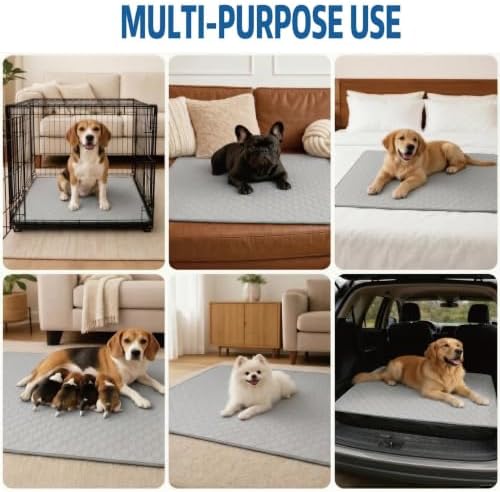 Washable Pee Pads for Dogs, 18x24 Light Grey 2 Pack