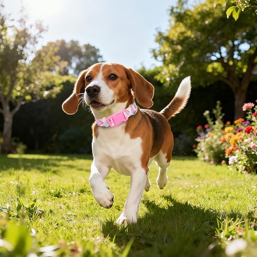 Girl Dog Collar for Medium Dogs,Cute Pink Flowers Female Dog Collars M