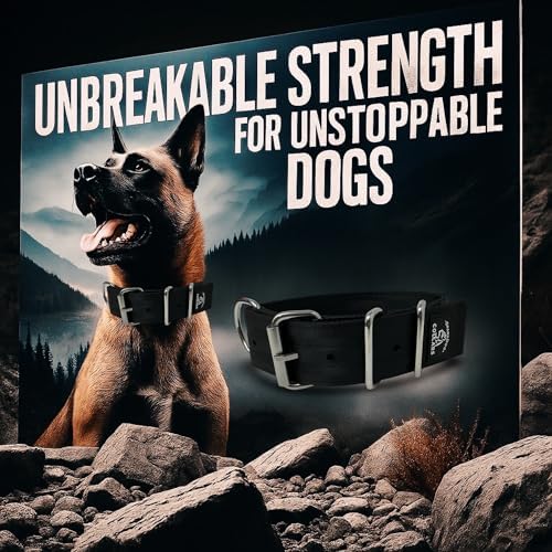 SparkDog 2” Working Dog Collar – Heavy Duty (14-20" (Black, 2" Width)