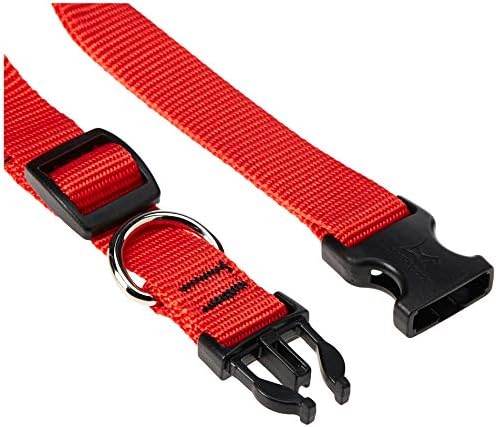 LupinePet Basics 3/4" Red 13-22" Adjustable Collar for Medium and Larger Dogs