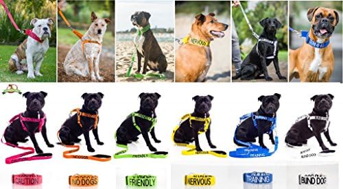 Dexil Limited DO NOT PET Red Color Coded 2 4 6 Foot Padded Dog Leash Prevents Accidents by Warning Others of Your Dog in Advance (4ft)
