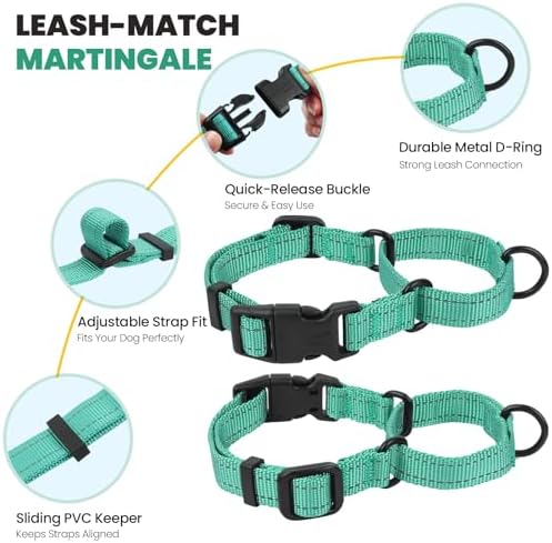 VIVAGLORY Double Handle Dog Leash Twingrip, 5ft x 1in, S, Turquoise
