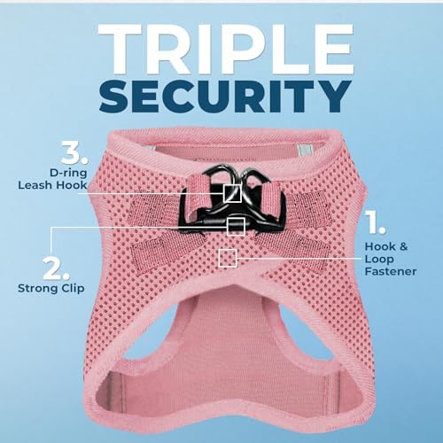 Best Pet Supplies Voyager Step-in Air All Weather Mesh Harness and Reflective Dog 5ft Leash Combo with Neoprene Handle, for Small, Medium and Large Breed Puppies - Pink, Medium