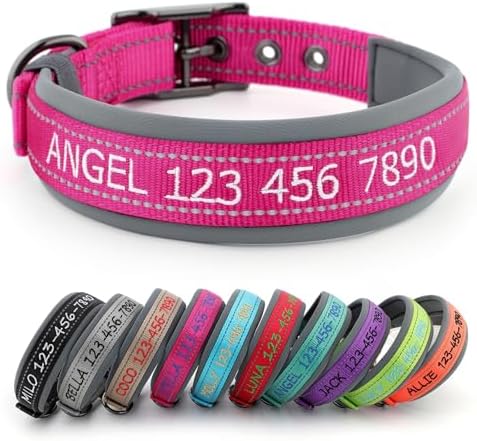 Personalized Dog Collar, Custom Embroidered Name & Phone Number
