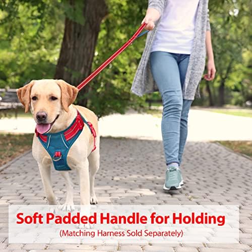 PHOEPET 5 Feet Dog Leash with Comfortable Padded Handle Easy Snap Clasp