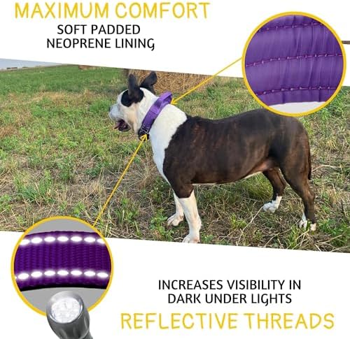 ADITYNA Heavy Duty Dog Collar for Extra-Large Dogs with Traffic Handle