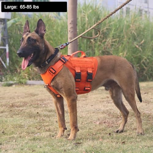 ICEFANG GN3 Tactical Dog Harness with 6X Buckle,Dog Molle Vest with Handle,3/4 Body Coverage,Hook and Loop Panel for ID Patch,No Pulling Front Clip (L (28"-35" Chest), Orange)
