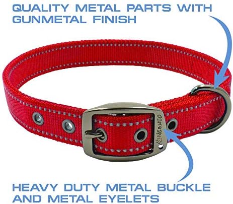 Max and Neo MAX Reflective Metal Buckle Dog Collar - We Donate a Collar to a Dog Rescue for Every Collar Sold (Large, RED)