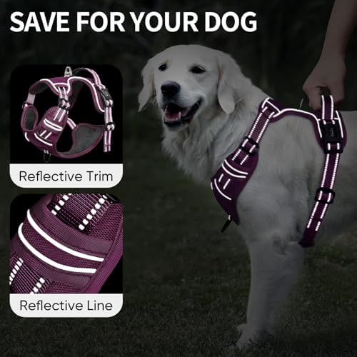 HEELE Dog Harness for Small Dogs No Pull Dog Vest Harness for Small Dog with Soft Padded Handle Reflective for Outdoor Training, Purple(Matching Trim), S