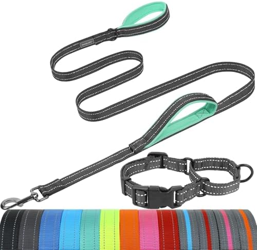 VIVAGLORY Double Handle Dog Leash Twingrip, 5ft x 1in, S, Grey