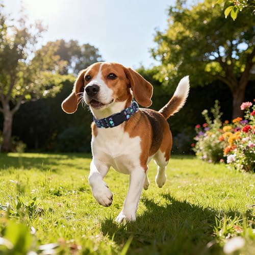 Skull Dog Collars for XL Dogs,Adjustable Comfy Soft Collar Boy Dogs(XL)