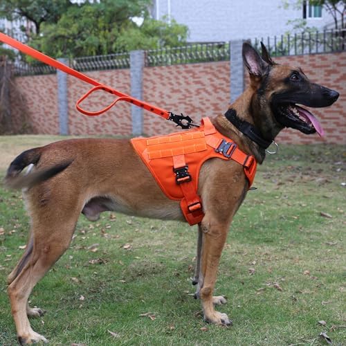 ICEFANG Tactical Dog Harness for X-Large Dogs,Full Metal Buckles Dog Vest