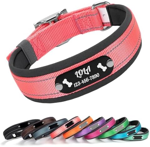 Custom Dog Collar with Engraved Name & Number, Pink: M