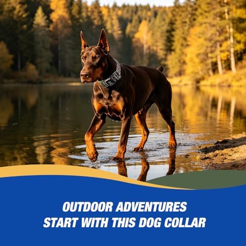 TSPRO Heavy Duty Thick Dog Collar with Metal Buckle for Large Dogs