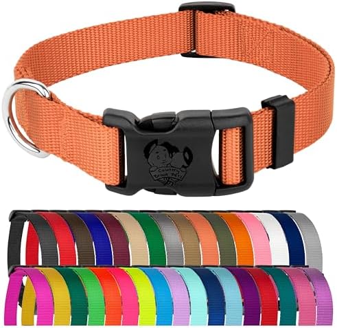 Country Brook Petz - Everyday Nylon Dog Collar for Large, Medium, and Small Dogs and Puppies - for Everyday Use in 30+ Colors (Large, 1 Inch Wide, Coral)