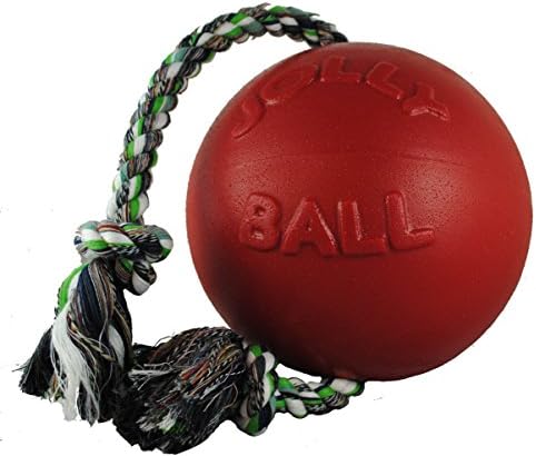 Jolly Pets Romp-n-Roll Rope and Ball Dog Toy, 4.5 Inches/Small, Red