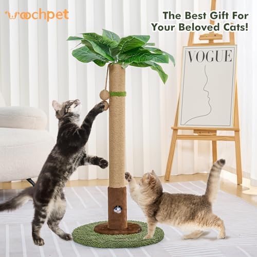 Woochpet Cat Scratching Post for Indoor Cats and Kitten - 35.43" Tall Cat Scratching Post with Sisal Rope,Palm Tree Cat Scratch Post with Hanging Ball (35.4-Green, 35.4in)