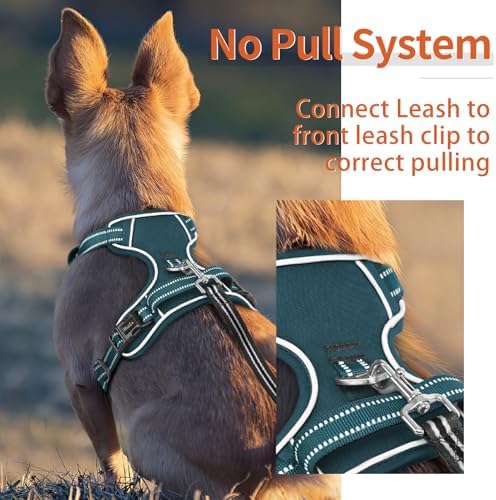 HEELE Dog Harness for Medium Dogs No Pull Dog Vest Harness with Soft Padded Handle Reflective for Outdoor Training, Blackish Green, M