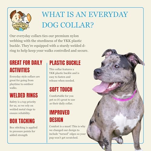 Country Brook Petz - Everyday Nylon Dog Collar for Large, Medium, and Small Dogs and Puppies - for Everyday Use in 30+ Colors (3XS, 3/8 Inch Wide, Gold)