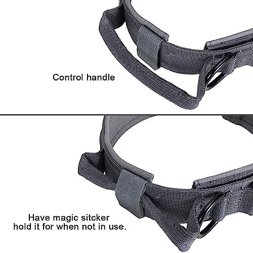 EXCELLENT ELITE SPANKER Tactical Nylon Dog Collar Military Metal Buckle