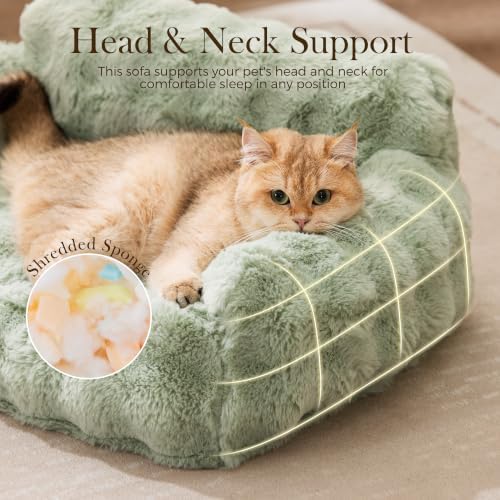 ZOMISIA Orthopedic Cat Couch Bed for Indoor Cats, Removable Washable Cover
