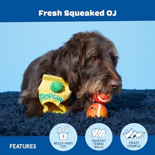 BarkBox Fresh Squeaked OJ Dog Toy - 2-in-1 - Toy for Medium Dogs