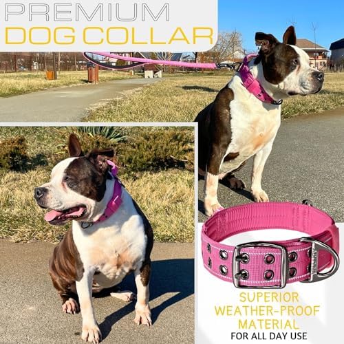 ADITYNA Heavy Duty Pink Dog Collar for Medium Dogs with Traffic Handle