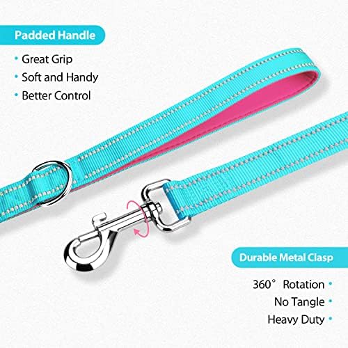 PHOEPET 5 Feet Dog Leash with Comfortable Padded Handle Easy Snap Clasp