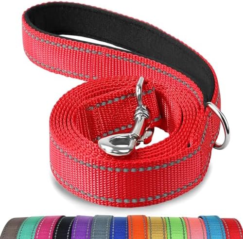 Joytale Reflective Dog Leash for Medium & Large Dogs, 6 FT x 1", Red