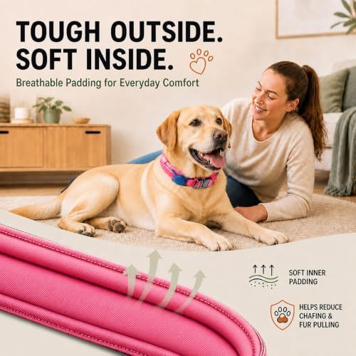 Tactical Dog Collar with Handle, Heavy Duty Nylon for Female Dogs