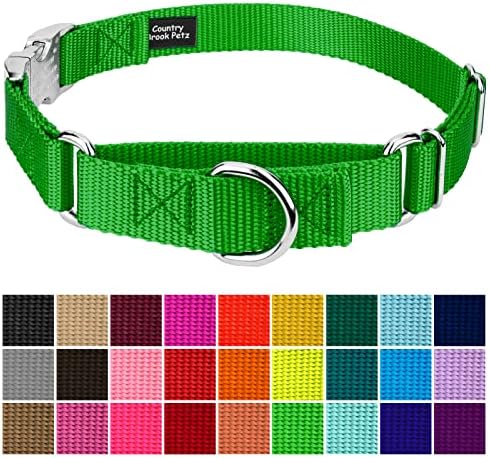 Country Brook Petz - Martingale Dog Collar - Heavy Duty Nylon Adjustable Martingale Dog Collar with Metal Buckle for Small Medium Large Breeds 30+ Color Options (3/4 Inch, Small, Hot Lime Green)