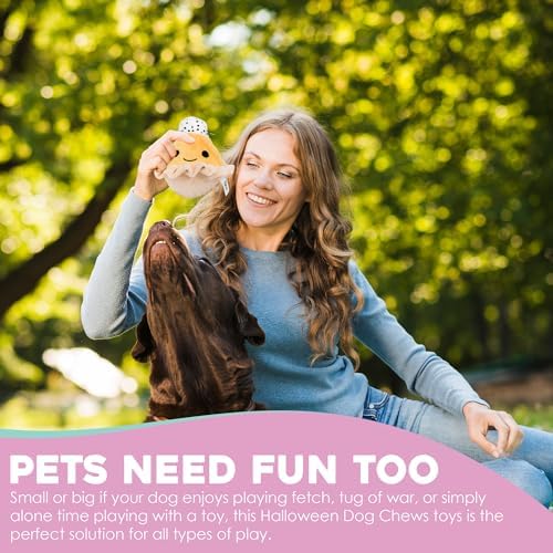 Flourish Pets 2 in 1 Multi-Layer Chew Toy for Active Dogs | Non-Toxic BPA Free Double Stitched Soft Fabric Exterior Dog Toys | Long-Lasting Dog Plush Toys – Turkey + Pumpkin (4”)