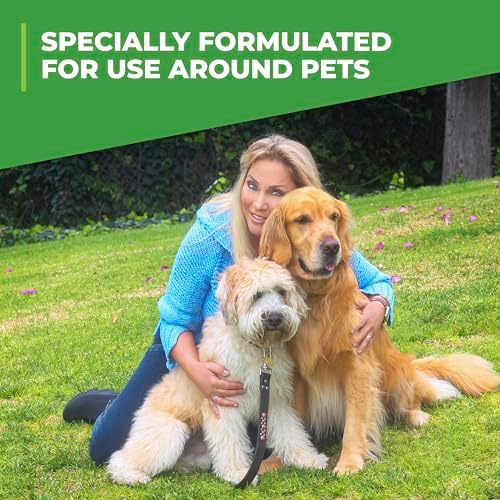Simple Green Outdoor Odor Eliminator for Pets, Dogs, Ideal for Artificial Grass & Patio (32 oz Hose End Sprayer & 1 Gallon Refill)
