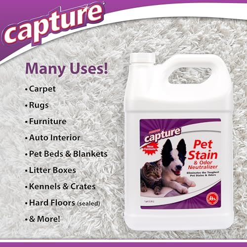 Capture Pet Stain & Odor Remover - Enzyme Pet Odor Eliminator - 1 Gallon